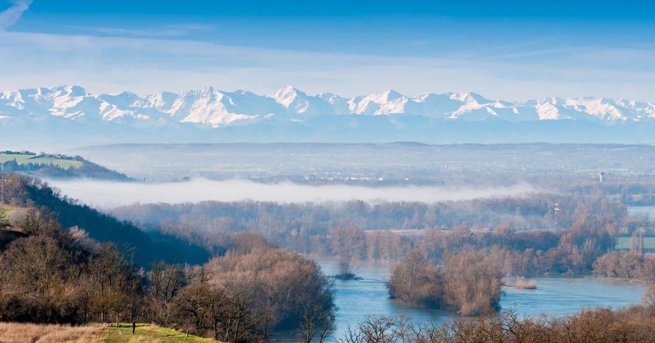 Le Lamartine - T3 Dans Un Parc Frouzins Kültér fotó